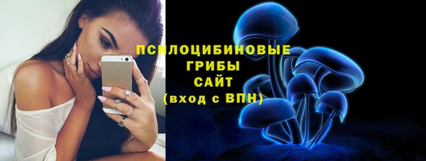 метадон Арсеньев