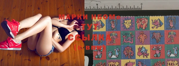 apvp Аркадак