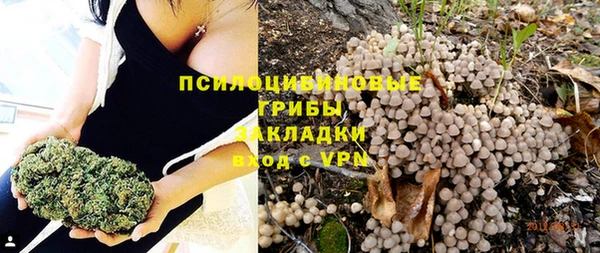 apvp Аркадак