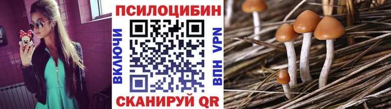 это Telegram  MEGA ONION  Козловка  хочу   Псилоцибиновые грибы Psilocybine cubensis 